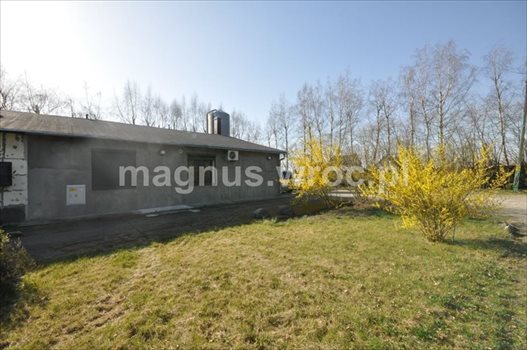 Działka inwestycyjna na sprzedaż Groblice 9 024m2 Foto 8