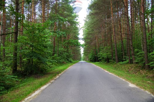 Działka rekreacyjna na sprzedaż Zarzęcin 300m2 Foto 5