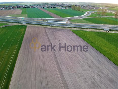 Działka inwestycyjna na sprzedaż Leszno 3 000m2 Foto 3