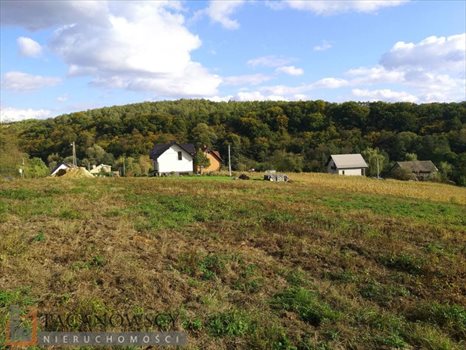 Działka budowlana na sprzedaż Owczary 3 000m2 Foto 2