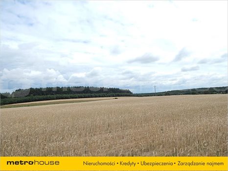 Działka inna na sprzedaż Janów, Chełm 33 379m2 Foto 5
