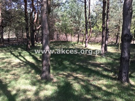 Dom na sprzedaż Łoś, Łoś 75m2 Foto 9