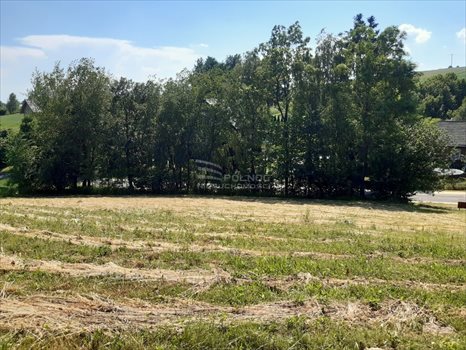 Działka inna na sprzedaż Zasępiec 20 990m2 Foto 2