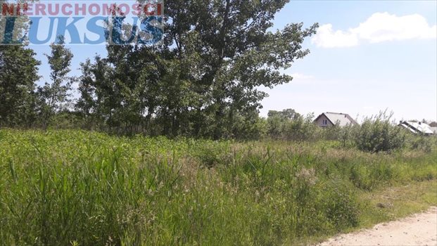 Działka budowlana na sprzedaż Góra Kalwaria, Kąty 1 000m2 Foto 5