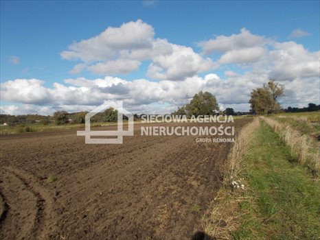 Działka rolna na sprzedaż Gdańsk, Lipce 44 000m2 Foto 1