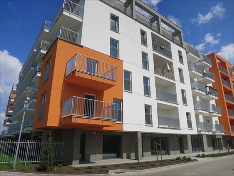 Lokal użytkowy na sprzedaż Poznań, Stare Miasto, Winogrady, Wilczak 113m2 Foto 8