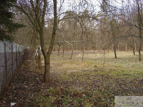 Lokal użytkowy na sprzedaż Starowa Góra 500m2 Foto 5