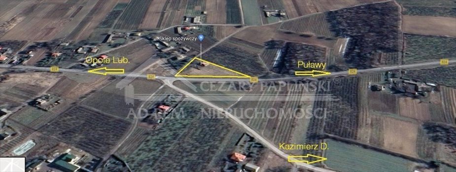 Działka inwestycyjna na sprzedaż Skowieszynek 4 300m2 Foto 2
