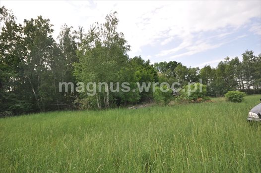 Działka komercyjna na sprzedaż Zębice 2 846m2 Foto 2