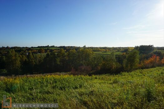 Działka budowlana na sprzedaż Wierzchowie 1 200m2 Foto 6