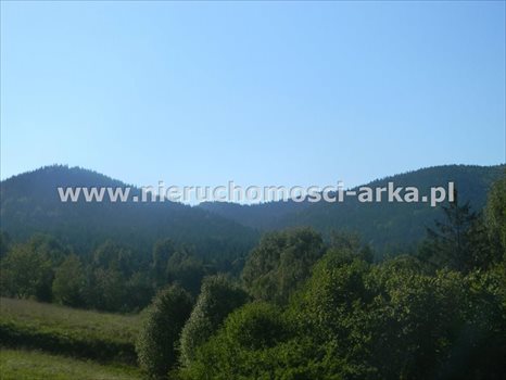 Działka budowlana na sprzedaż Dobra 2 500m2 Foto 4