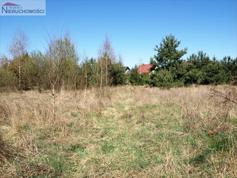 Działka inna na sprzedaż Starogard Gdański, Rokocin, x 980m2 Foto 4