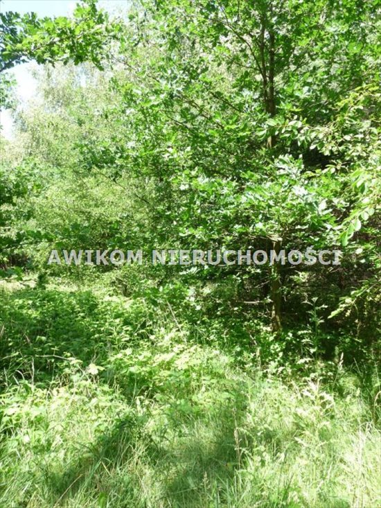 Działka inna na sprzedaż Skierniewice 2 580m2 Foto 2