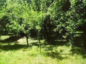 Dom na sprzedaż Kazimierz Dolny 80m2 Foto 4