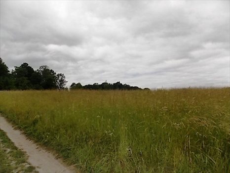 Działka rekreacyjna na sprzedaż Żywy 4 393m2 Foto 5