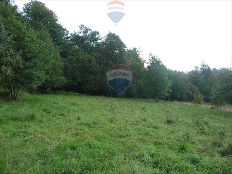 Działka budowlana na sprzedaż Rabka-Zdrój 5 650m2 Foto 6