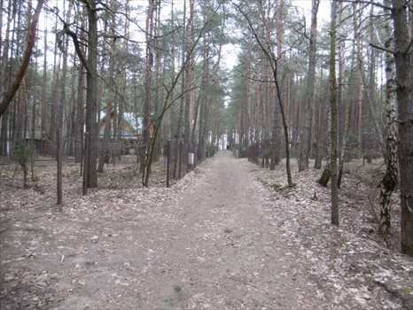 Działka budowlana na sprzedaż Skubianka, Korzenna 983m2 Foto 7