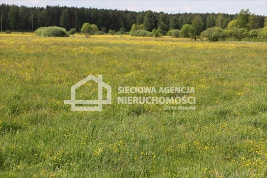 Działka budowlana na sprzedaż Lubowidz 1 005m2 Foto 6