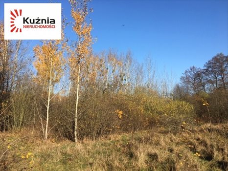 Działka budowlana na sprzedaż Siestrzeń, Łąkowa 2 064m2 Foto 7
