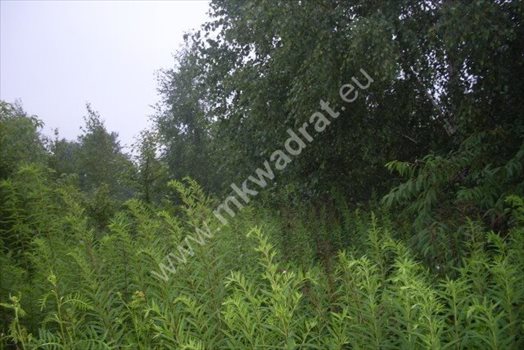 Działka budowlana na sprzedaż Kanie, mkwadrat.eu - wejdź i zobacz sprawdzone oferty nieruchomości 2 196m2 Foto 4