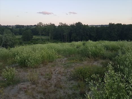 Działka budowlana na sprzedaż Żukowo, Jana Pawła II 16 708m2 Foto 6