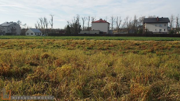 Działka budowlana na sprzedaż Zielonki 1 166m2 Foto 5