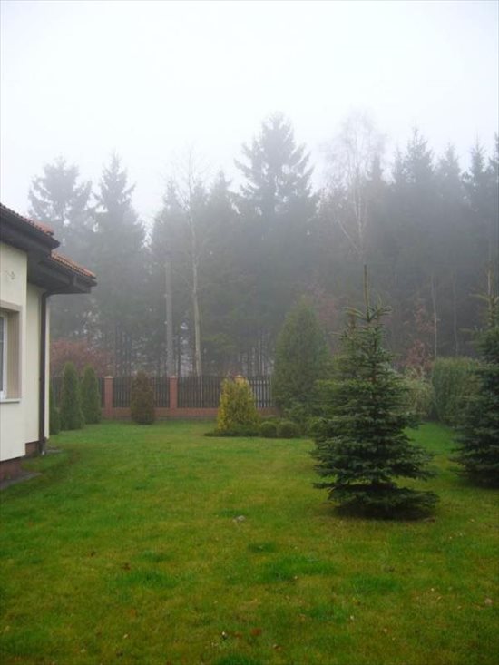 Dom na sprzedaż Dobrzewino, Jezioro, Las, TURYSTYCZNA 264m2 Foto 2