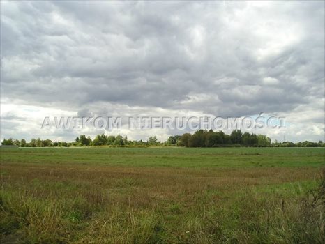 Działka budowlana na sprzedaż Skierniewice, Miedniewice 5 260m2 Foto 3