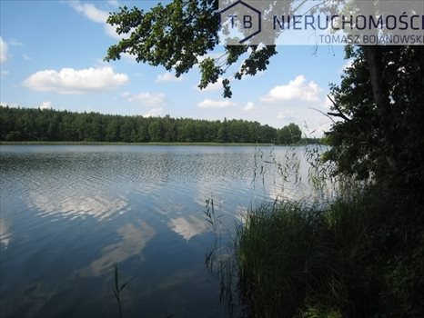 Działka budowlana na sprzedaż Giewartów, Nad Jeziorem, Powidz, Giewartów okolice 2 000m2 Foto 1