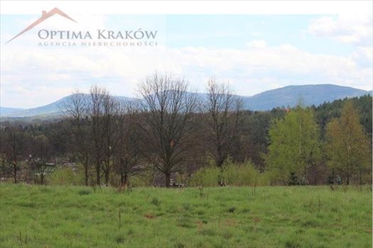 Działka budowlana na sprzedaż Głogoczów 1 200m2 Foto 3