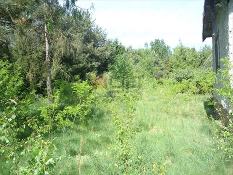 Działka inna na sprzedaż Biały Ług 4 100m2 Foto 8
