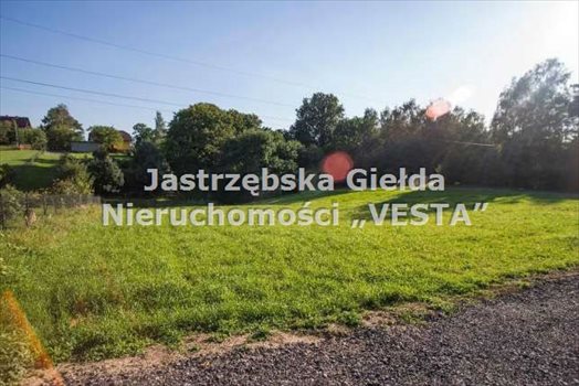 Działka inna na sprzedaż Jastrzębie-Zdrój 2 466m2 Foto 3