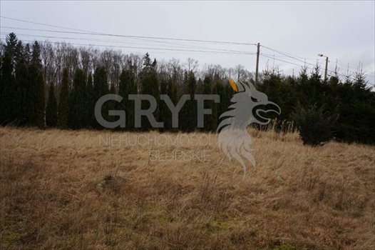 Działka inna na sprzedaż Wielichowo 5 600m2 Foto 6