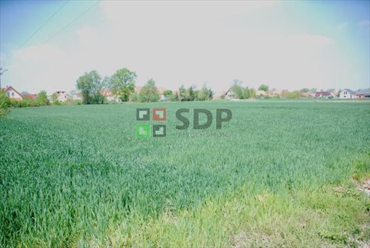 Działka budowlana na sprzedaż Rogów Sobócki 1 674m2 Foto 1