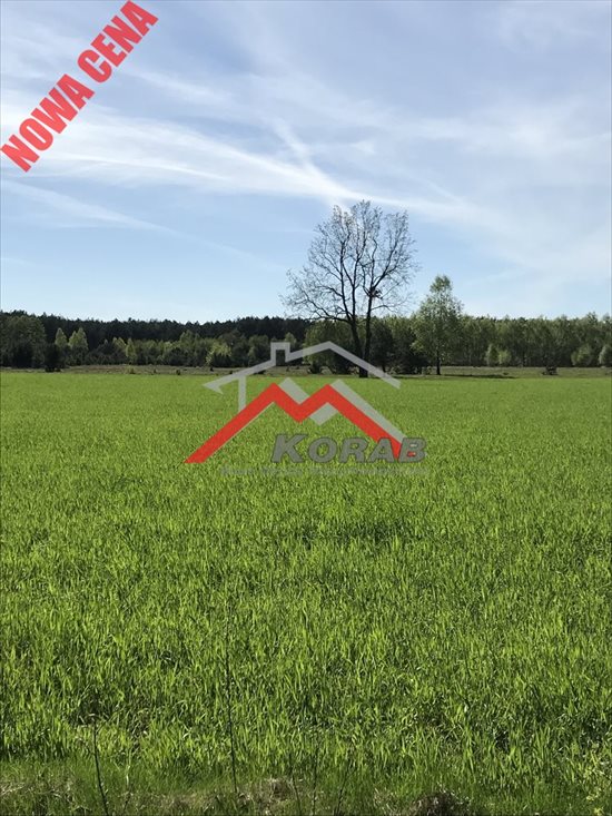 Działka rekreacyjna na sprzedaż Arciechów 1 283m2 Foto 2