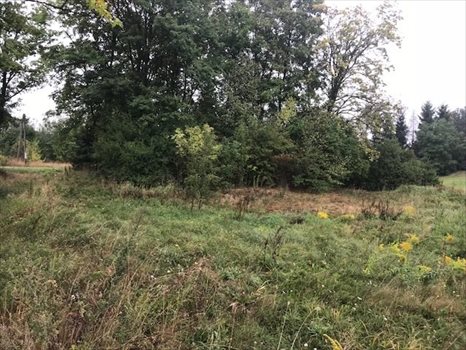 Działka budowlana na sprzedaż Henryków Lubański 1 511m2 Foto 1