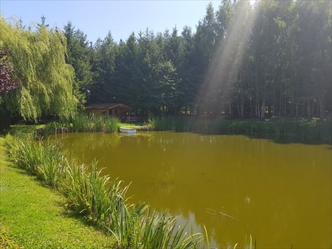 Dom na sprzedaż Stary Dzierzgoń 430m2 Foto 7
