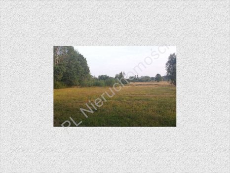 Działka rolna na sprzedaż Rososz 13 000m2 Foto 4