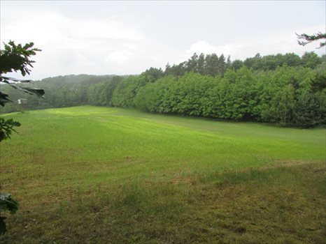 Działka rolna na sprzedaż Łagówek 16 100m2 Foto 7