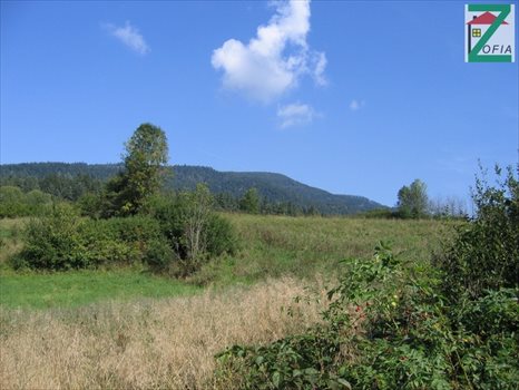 Działka rolna na sprzedaż RABKA-ZDRÓJ 20 692m2 Foto 2