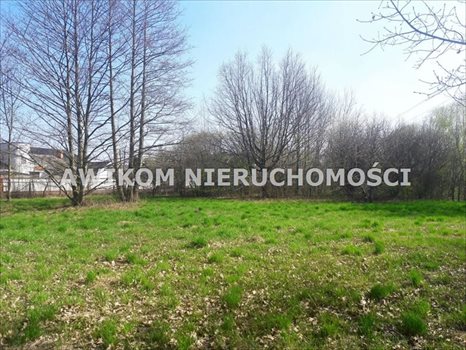 Działka budowlana na sprzedaż Jaktorów 4 500m2 Foto 1