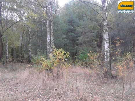 Działka budowlana na sprzedaż Rosanów 1 920m2 Foto 2