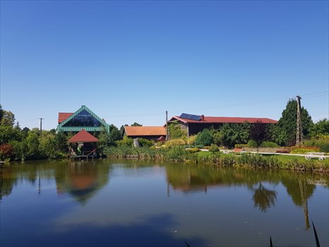 Dom na sprzedaż Stary Dzierzgoń 430m2 Foto 1