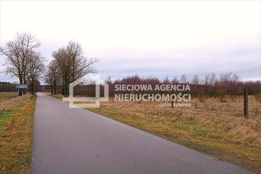 Działka leśna na sprzedaż Strzeczona 206 330m2 Foto 9