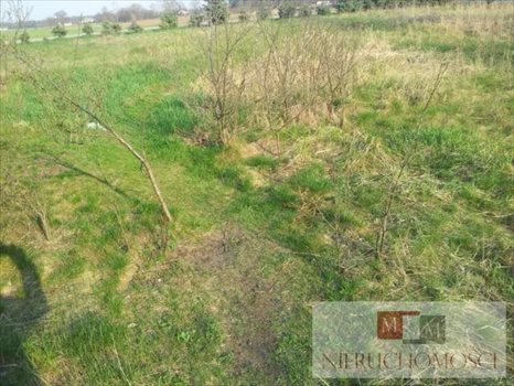 Działka budowlana na sprzedaż Kotórz Mały 1 623m2 Foto 2