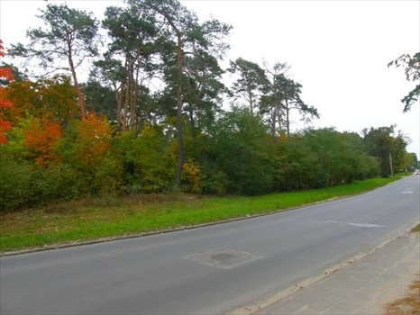 Działka budowlana na sprzedaż Otwock, Bolesława Chrobrego 4 732m2 Foto 4