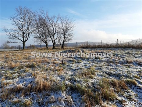 Działka inna na sprzedaż Wałbrzych, Rusinowa 1 400m2 Foto 12