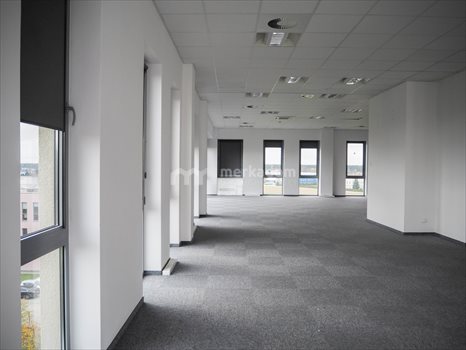 Lokal użytkowy na wynajem Dąbrowa 300m2 Foto 2