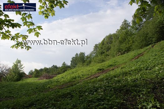 Działka rekreacyjna na sprzedaż Kozy 1 600m2 Foto 7