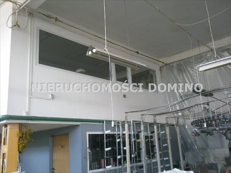 Lokal użytkowy na sprzedaż Łódź, Widzew 1 500m2 Foto 11